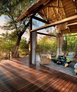 portfolio naturafita (1)